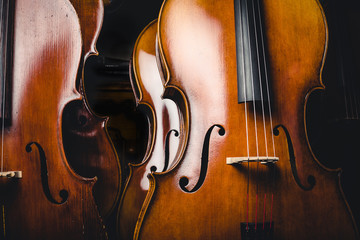 チェロ © beeboys