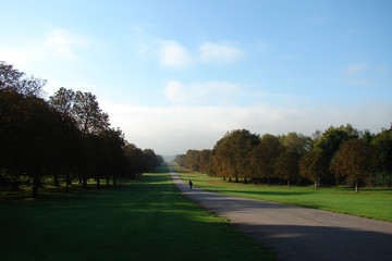 Fototapeta na wymiar long road through Windsor Great Park (England); endless royal land estates; bright autumn morning