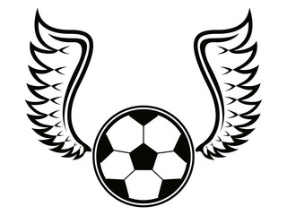 Isolated soccer ball