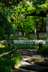Fototapeta na wymiar 夏の日本庭園