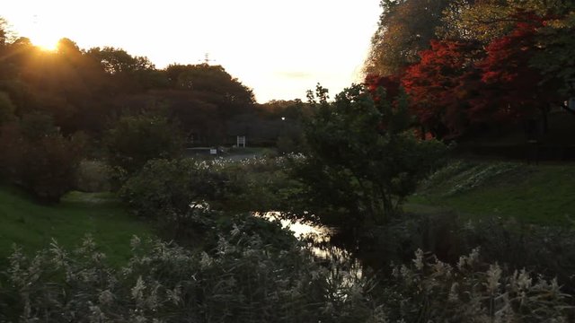 Morning Sunrise in Autumn