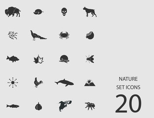 Nature set of flat icons. Vector illustration