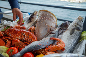 Fototapeta na wymiar Fresh raw seafood presentation on cart at seaside restaurant with a man hand including fishes, prawn, shell, etc. on blurred ocean background, Istanbul