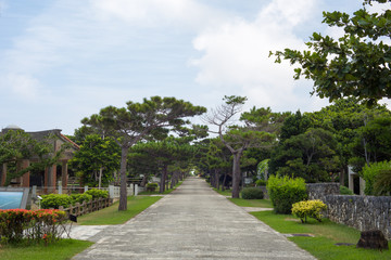 平和記念公園　沖縄