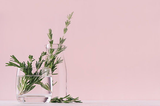 Gentle spring vanilla background of fresh bouquet rosemary in glass and retro milk bottle on white table and pink wall.