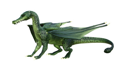 Fototapeta premium 3D Fantasy Fantasy Dragon na białym tle