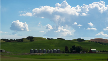 Farm on The Palouse