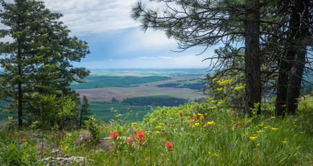 View of The Palouse, from the top of Kamiak Butte