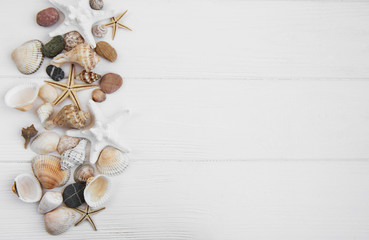 Fototapeta na wymiar sea shells on a white wooden table