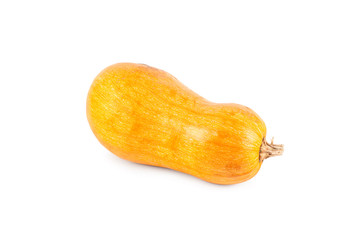 Ripe fresh pumpkin
