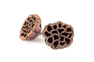 Dry flower lotus