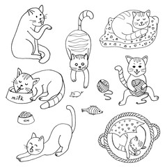 Vector illustration of cat set