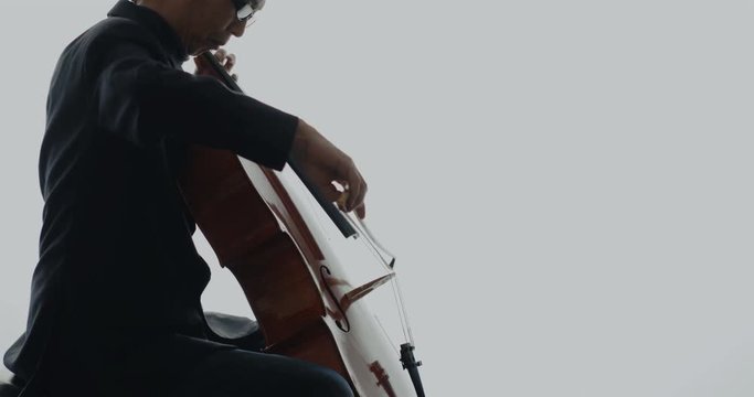 チェロを演奏する音楽家