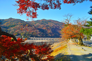 紅葉シーズンの渡月橋
