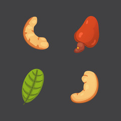 Set cashew nut vector illustration in cartoon style. Organic food.
