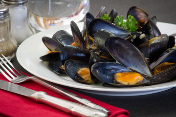 moules