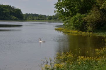 Fototapeta premium Étang de Gondrexange en Moselle, France