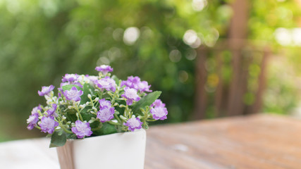 Purple flower with green bokeh background