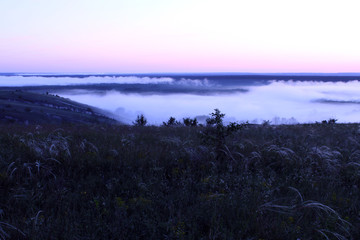 Twilight Before Dawn