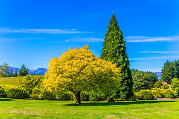  Grove on Lake Wanaka