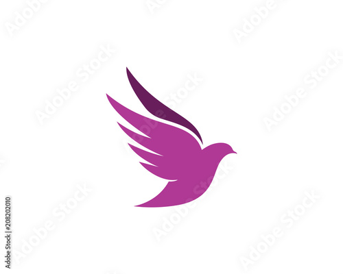 bird wing dove logo template stock image and royalty free vector
