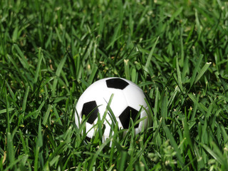 Football ball in green grass. World cup 2018 concept