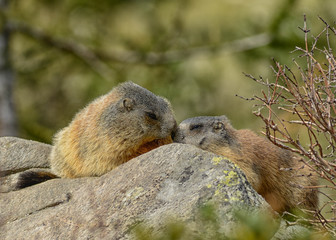 A Moment of Tenderness