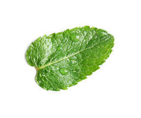 Fototapeta na wymiar Fresh green mint leaf on white background