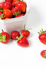 Frische Erdbeeren vor weißem Hintergrund