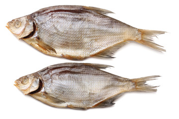 dried fish isolated on white background. Beer brewery concept. Beer background