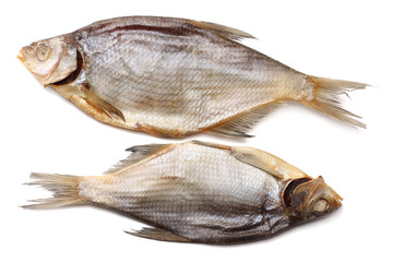 dried fish isolated on white background. Beer brewery concept. Beer background