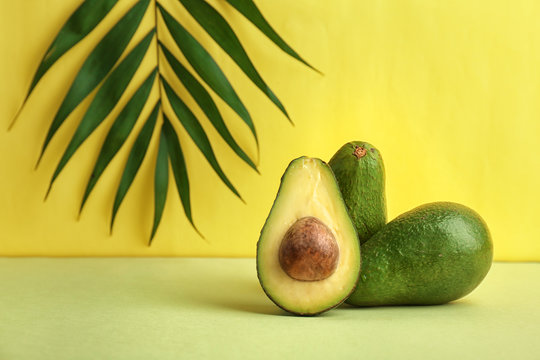 Composition with ripe avocados and tropical leaf on color background