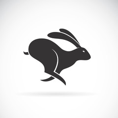 Vector of black rabbit is running on white background. Wild Animals. Black bunny. Easy editable layered vector illustration.