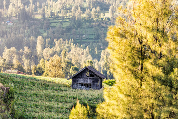 And old barn with beautiful view background at mount bromo