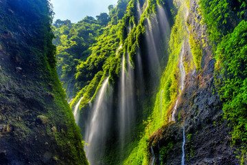 The beautiful madakaripura waterfall in east java, Indonesia