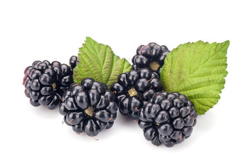 Blackberries