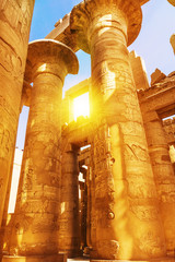 massive columns. Luxor, Egypt. old egypt hieroglyphs carved on the stone