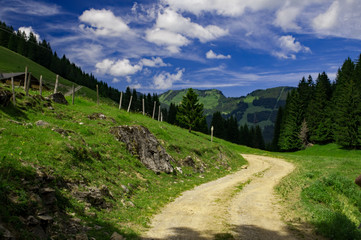 Fototapeta na wymiar Alpspaziergang