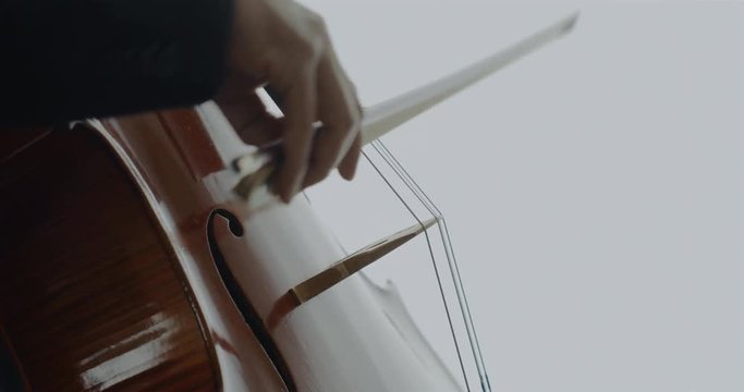 チェロを演奏する音楽家