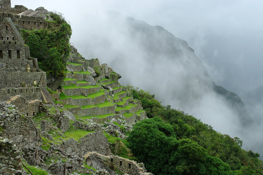 Terrasses du Machu Picchu - 2