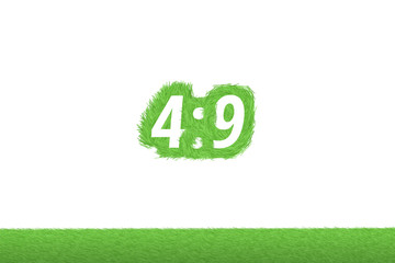 Spielstand "4:9" Gras Grüner Text auf weißem Hintergrund