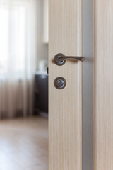 Wooden door with metallic handle open in to the empty room