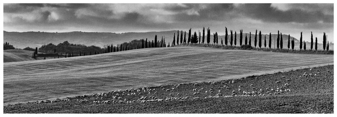 Toscana Landschaft Italien