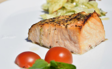 Lachs 1