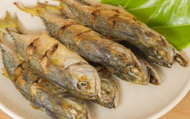 Mackerel fish fried in white dish.
