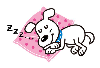 犬　白犬　昼寝　いびき