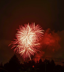 Beautiful colorful fireworks on sky