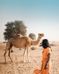 Camel and the lady