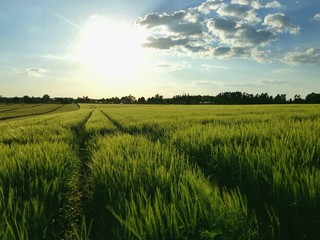 Sonnenuntergang 