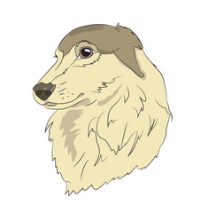 dog portrait profile, look down